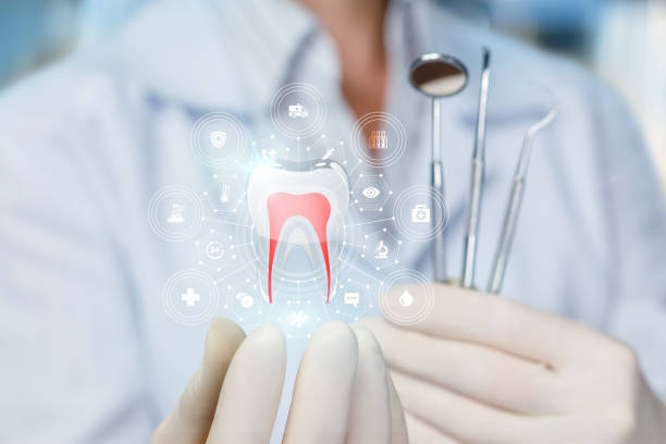 Best Dental Exams and Cleanings  in Hlsboro, IL